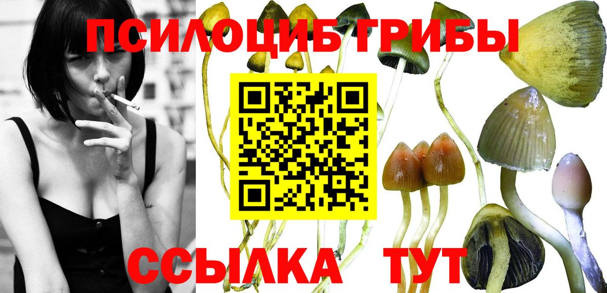 Галлюциногенные грибы мицелий Скопин
