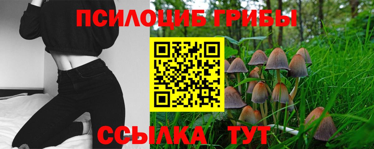 Скопин  Псилоцибиновые грибы GOLDEN TEACHER  Галлюциногенные грибы мухоморы  Вход с VPN 
