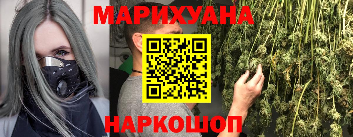 Каннабис планчик Скопин